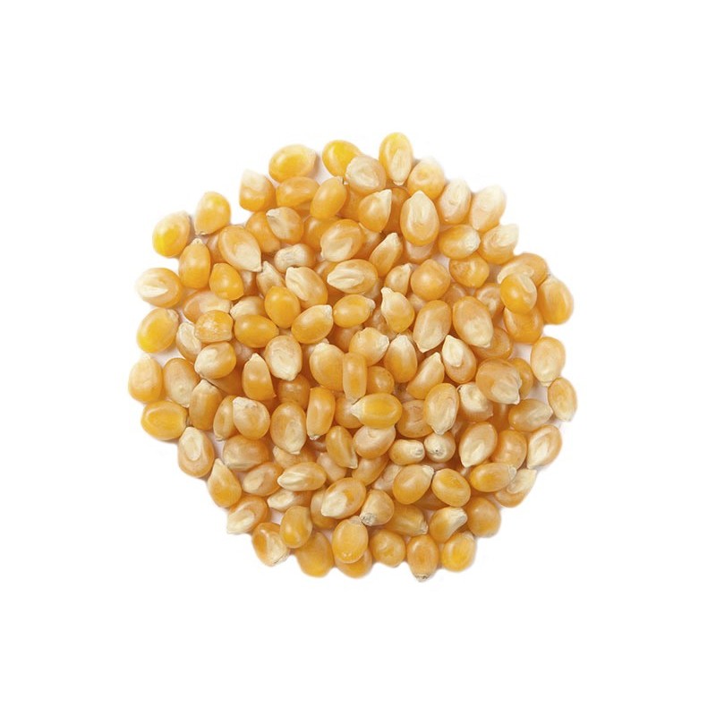 Palomitas de Maíz Reventón 5KG | Formato Mayorista - Especial Hostelería, Fiestas y Eventos - Palomitas Caseras