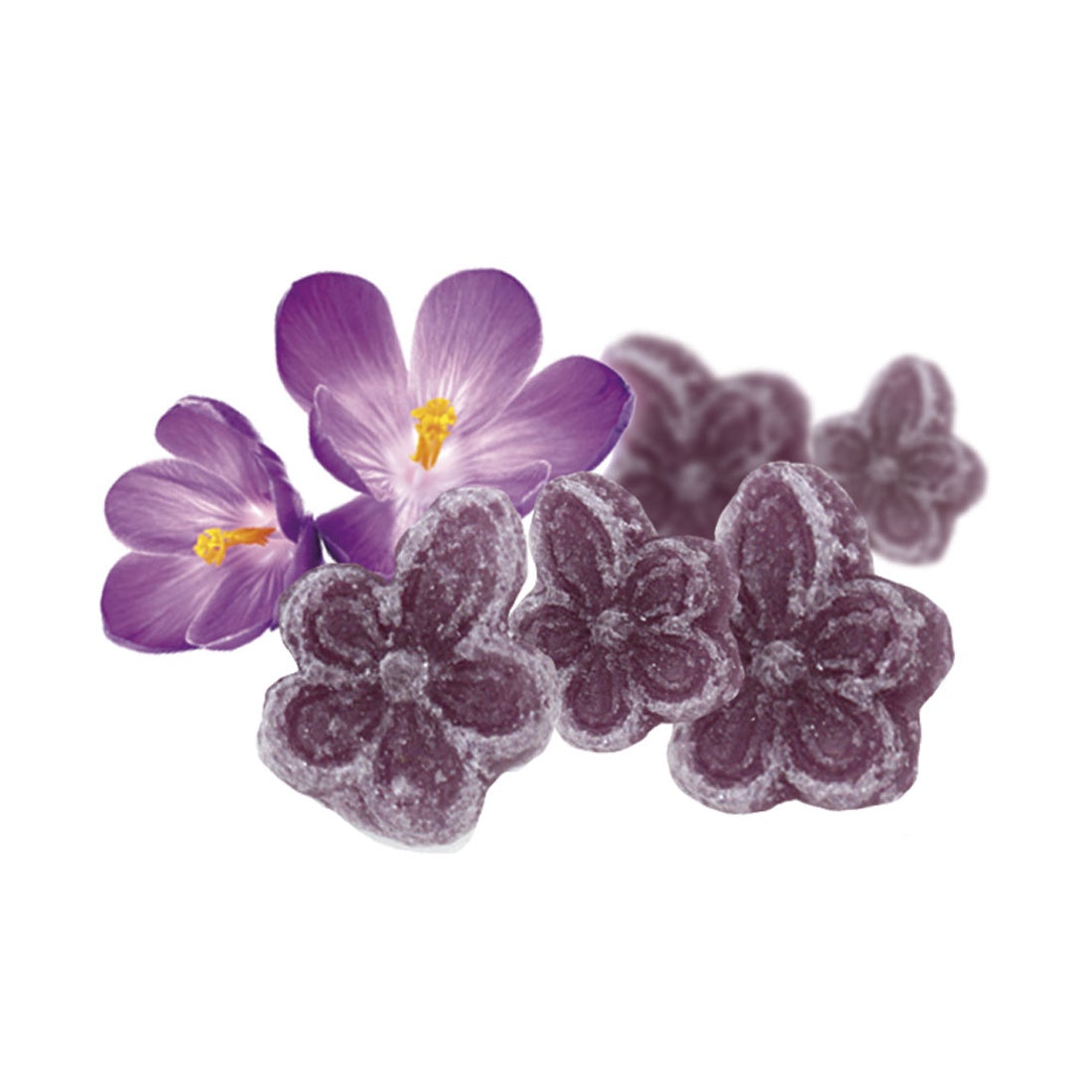 Caramelos Violetas SIN AZUCAR - Formato Bolsa 1KG