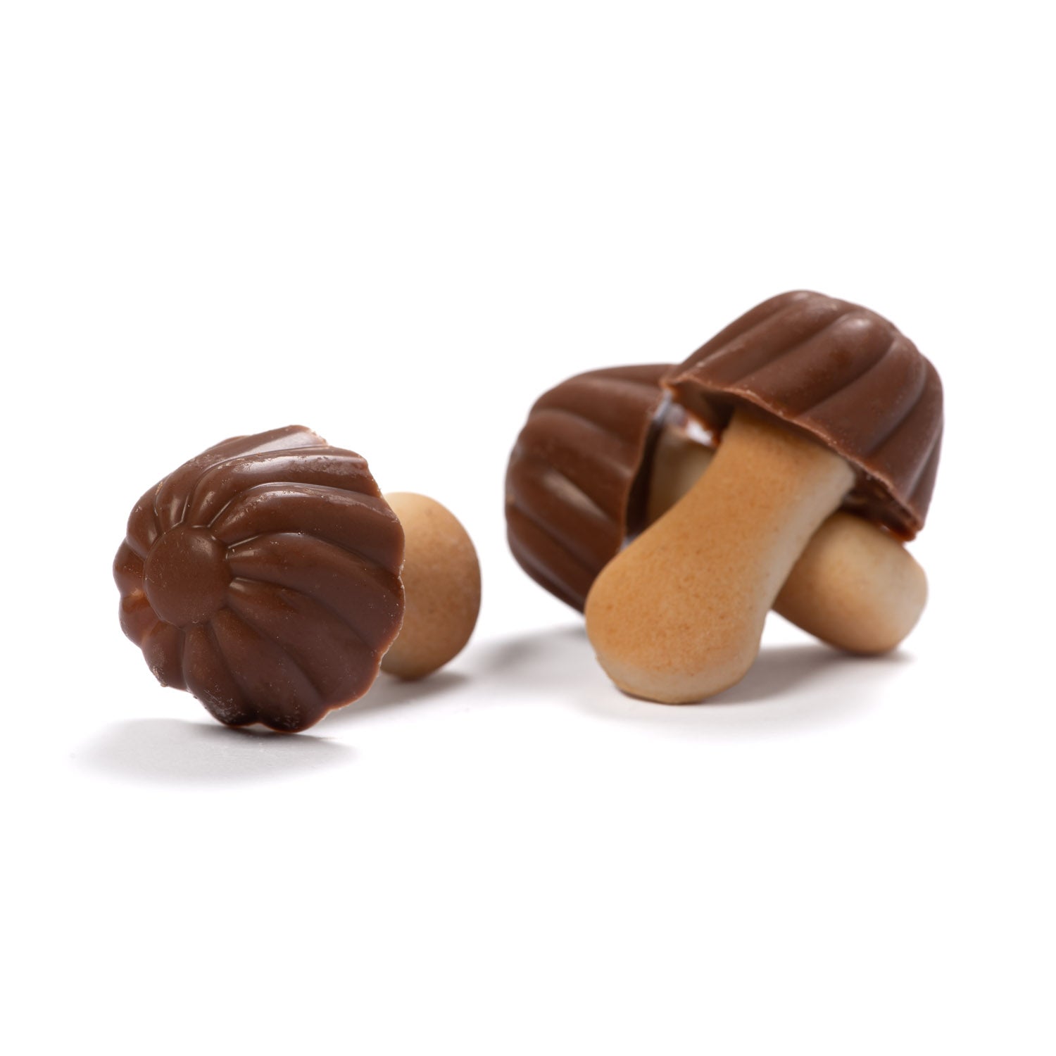 SETAS CHOCOLATE ULTRA PICK & MIX | TARRO 1,8 KG